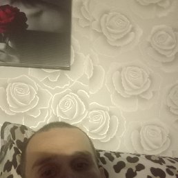 , 29, 