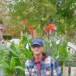 ��������, ������, 52 ����