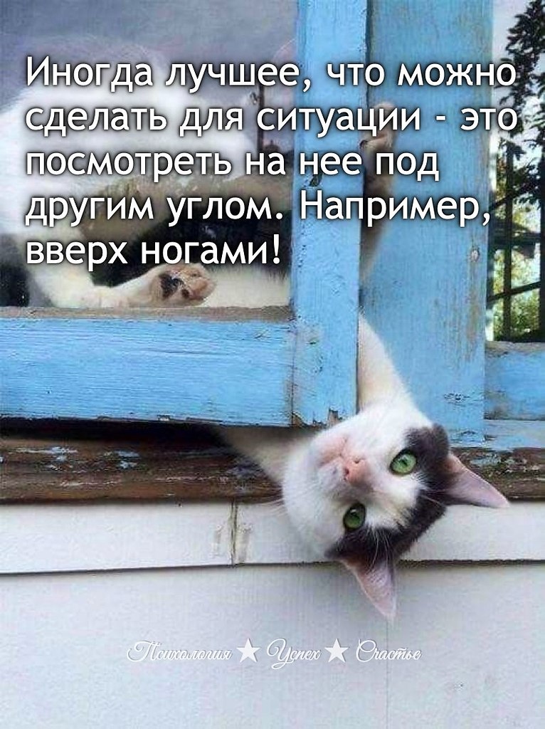 �������� ������ - 10 ���� 2025 � 20:50