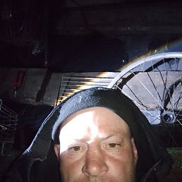 �����, 38 ���, ������