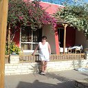 ���� ������, ����� - ��������� 12 ������� 2025 � ������ ���� ����������