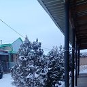 ���� �������, ������, 40 ��� - ��������� 12 ������ 2024 � ������ ���� ����������