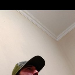 , 28, 