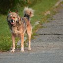 ���� Carpe_diem, ��������� - ��������� 15 ���� 2025 � ������ ���� ������=)�