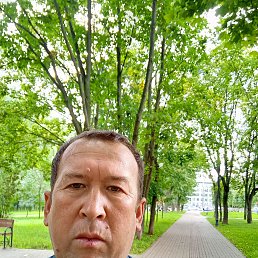  , 41, 