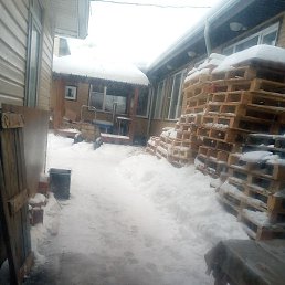 �������, ������, 50 ���