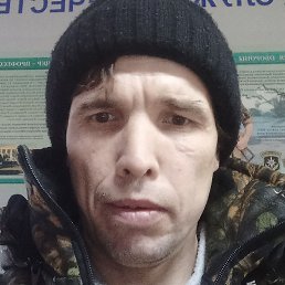 �����, ����, 41 ���