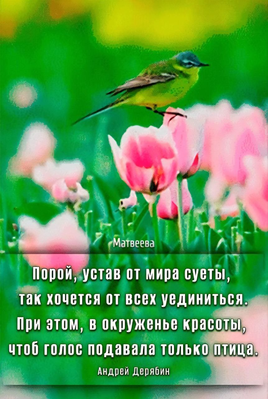 Бублик - 8 июня 2025 в 14:37