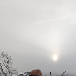 ���� �����, ������, 37 ��� - ��������� 9 ������ 2026