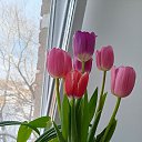 ���� �������, ����, 34 ���� - ��������� 16 ���� 2026