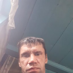 , 41, 