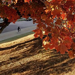 �������, ������