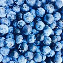 ���� ����, �����-��������� - ��������� 1 ���� 2025