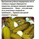 ���� �����, ������, 31 ��� - ��������� 3 ������� 2026 � ������ ������ ��������