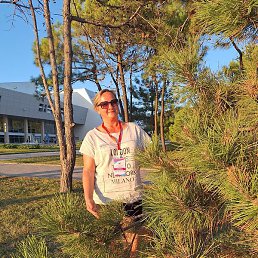 ������, �����, 51 ���