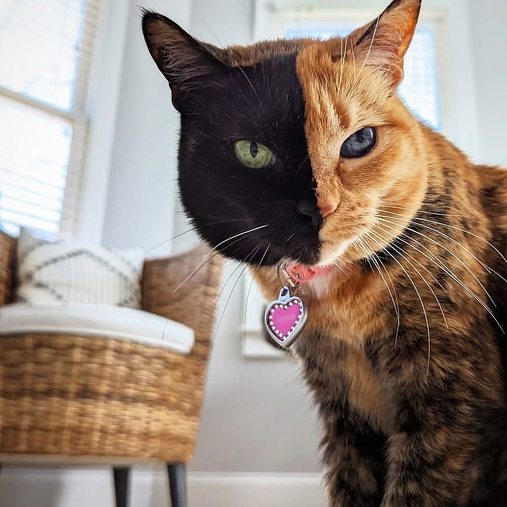     .  16 ,     ,  ,   ...