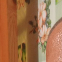 ������, ������, 42 ����