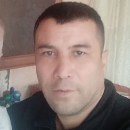 �����, �������, 46 ���