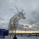 ���� ������, ������, 46 ��� - ��������� 27 ������ 2024 � ������ ���� ����������