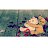 ���� ������, �������, 22 ���� - ��������� 18 ������ 2024