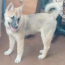 ���� ����, ������������, 50 ��� - ��������� 29 ������ 2023 � ������ ���� ����������