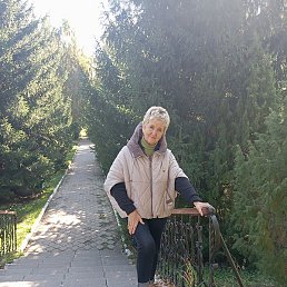 �������, ���������, 70 ���