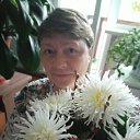 ���� ����, ������, 57 ��� - ��������� 16 ������ 2026 � ������ ���� ����������