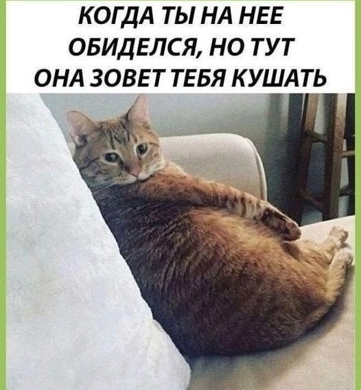  - 20  2025  08:07