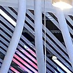 ������, �����-���������, 36 ���