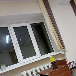 ���� ���, �����������, 33 ���� - ��������� 22 ������� 2023