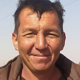 ����, �����, 40 ���