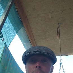 ������, ���������, 42 ����