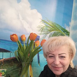 ���� ������, ����� �������, 55 ��� - ��������� 11 ����� 2026