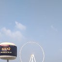 ���� �������, ������������, 50 ��� - ��������� 1 ������ 2025 � ������ ������