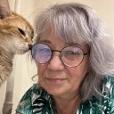 ���� �������, ��������� - ��������� 7 ������� 2025 � ������ ���� ����������