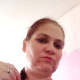 �����, 44 ����, �����