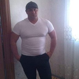 �����, �������, 46 ���