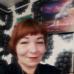  , 44, 