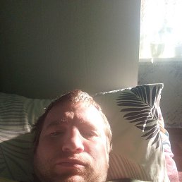 ������, ������, 33 ����