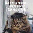 ���� �����, ������, 55 ��� - ��������� 27 ������ 2026