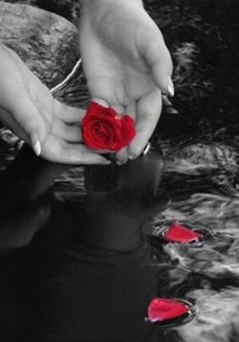 Хорош не тот, кто ищет в людях слабость. Да и не тот, кто ищет красоту. Хорош лишь тот, кто дарит ...
