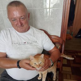 , 53 , 