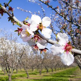 �������, ����������, 21 ���