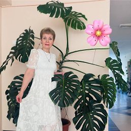 ���� �����, ��������� - ��������� 18 ������� 2025