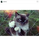 ���� ��������, ������, 59 ��� - ��������� 15 ������ 2025 � ������ ������ ��������