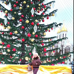 ������, �����������, 51 ���