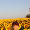 ���� �������, ��������������, 65 ��� - ��������� 14 ���� 2024 � ������ ���� ����������