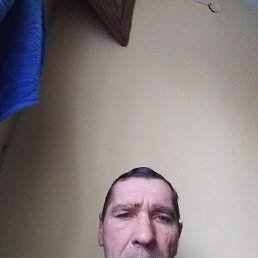 , 52, 