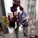 ���� ��� ., �����, 72 ���� - ��������� 5 ���� 2026 � ������ ���� ����������