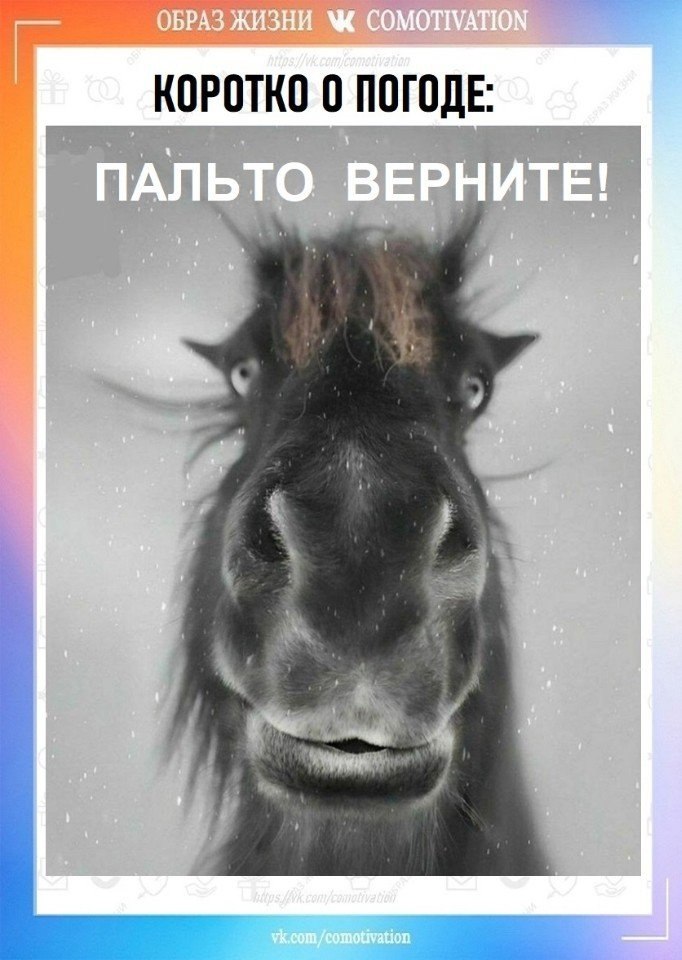 Co-Motivation.... . - 27  2025  09:21